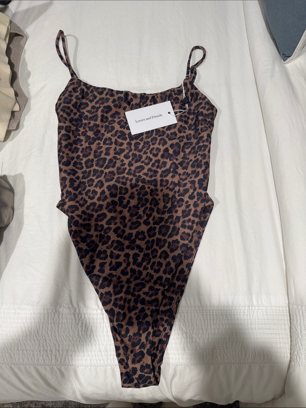 Lovers + Friends Brown and Black Leopard Print One-Piece Swimsuit